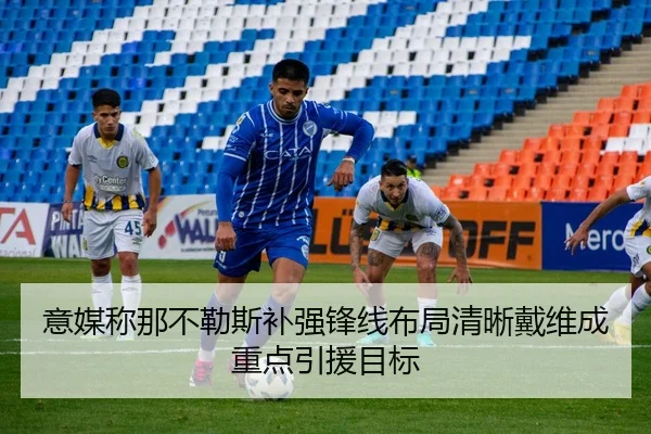 意媒称那不勒斯补强锋线布局清晰戴维成重点引援目标