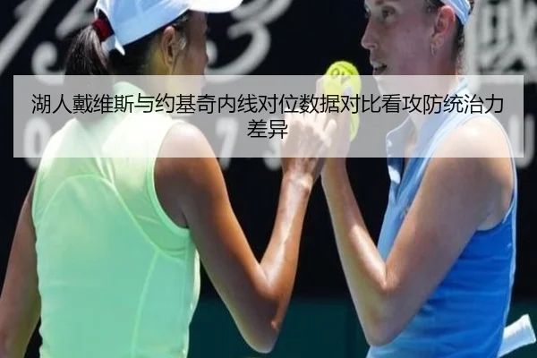 湖人戴维斯与约基奇内线对位数据对比看攻防统治力差异